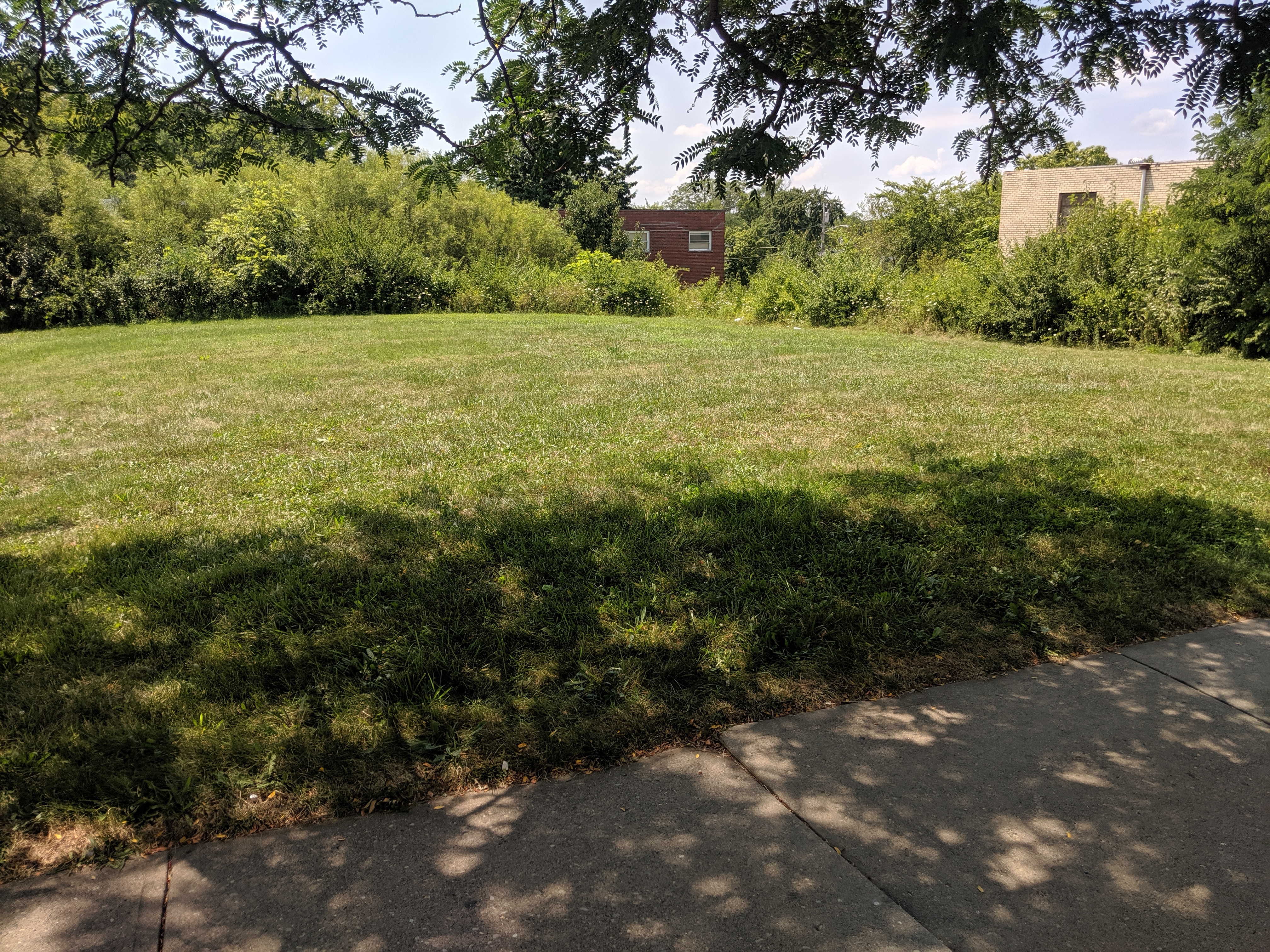 IMG_20190731_140913 vacant land